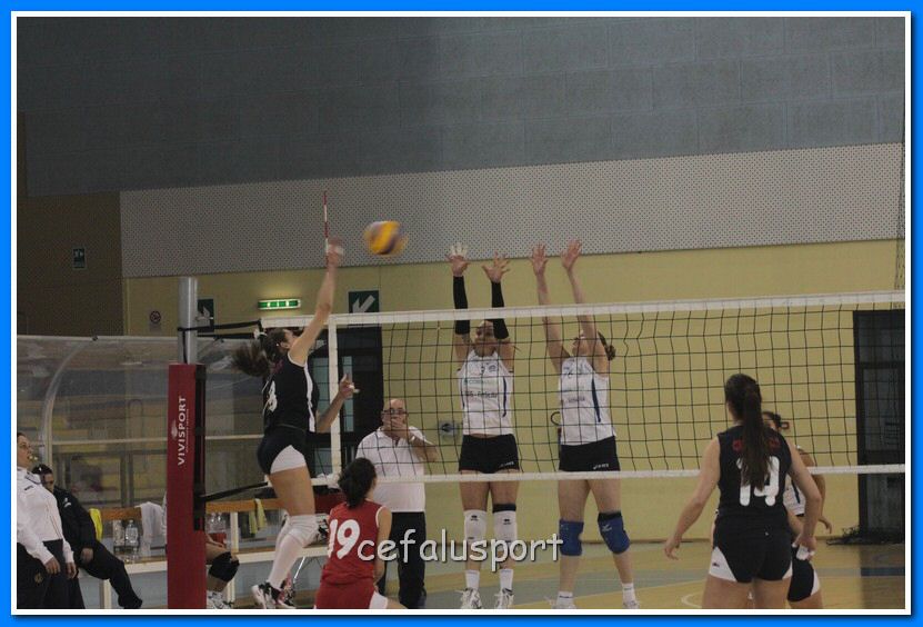 130203 kamarina2 024_tn.jpg